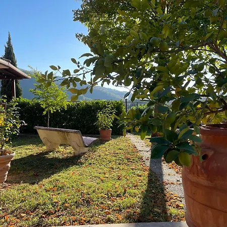 Casa Cappellino 公寓 *