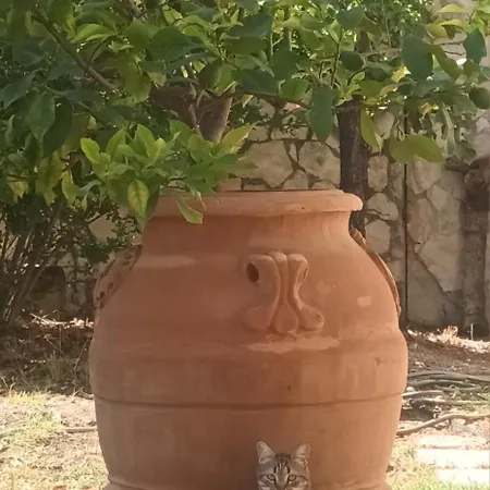 Casa Cappellino *